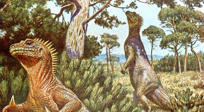 The evolution of Gerhard Heilmann’s Iguanodons