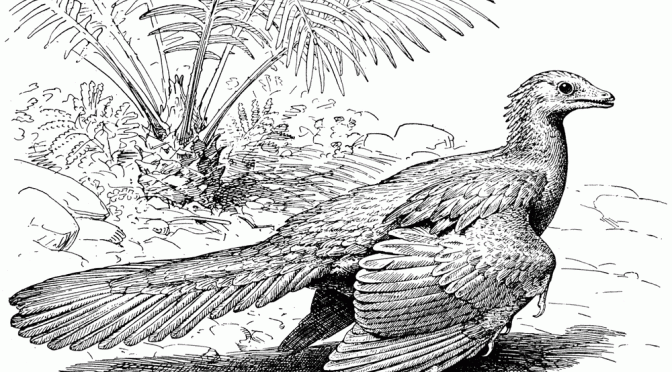 Manfred Reichel’s Archaeopteryxes and the origin of feathered dinosaurs