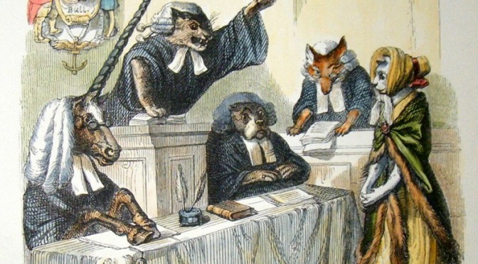 The case of the cat in court