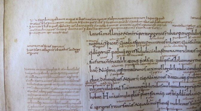 Marginal signs: central for understanding early medieval thinkers